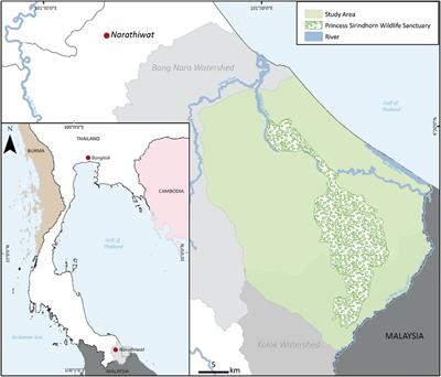 Land-Use Changes and the Effects of Oil Palm Expansion on a Peatland in Southern Thailand
